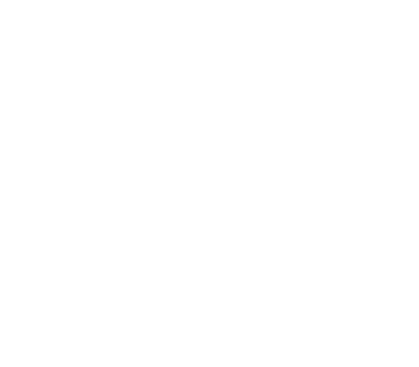 Brasão da BNSA Advocacia — Em Defesa do Consumidor